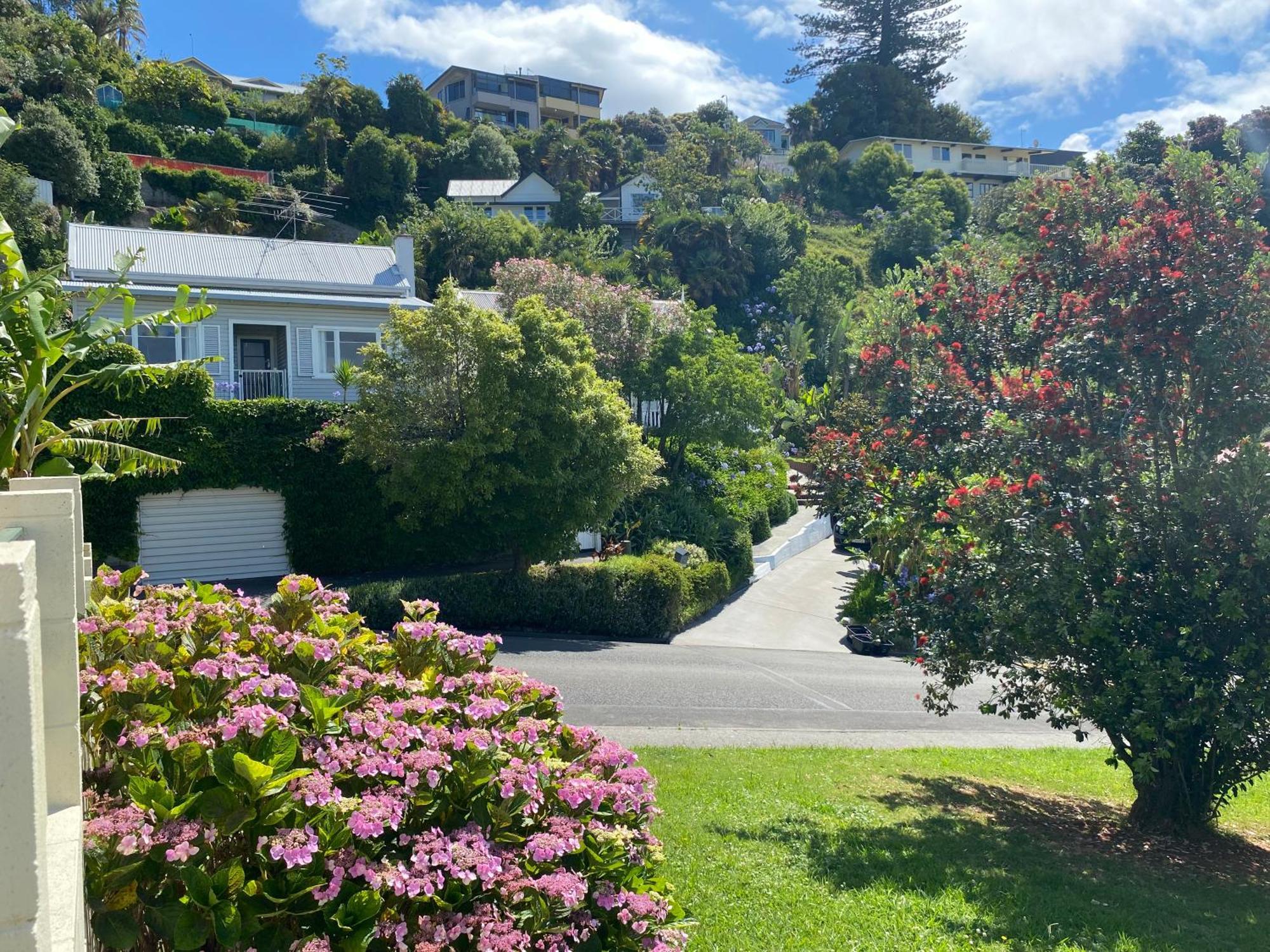 Maison Blue - Chic Garden Apartment Napier Exteriör bild